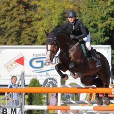 Basler Pferdesporttage 2015