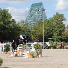 Basler Pferdesporttage 2015