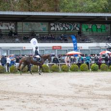 Basler Pferdesporttage 2022